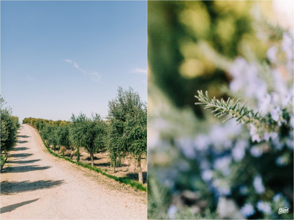 el_regajal_wedding_inspiration_Madrid_0046-940x705 el_regajal_wedding_inspiration_Madrid_0046 